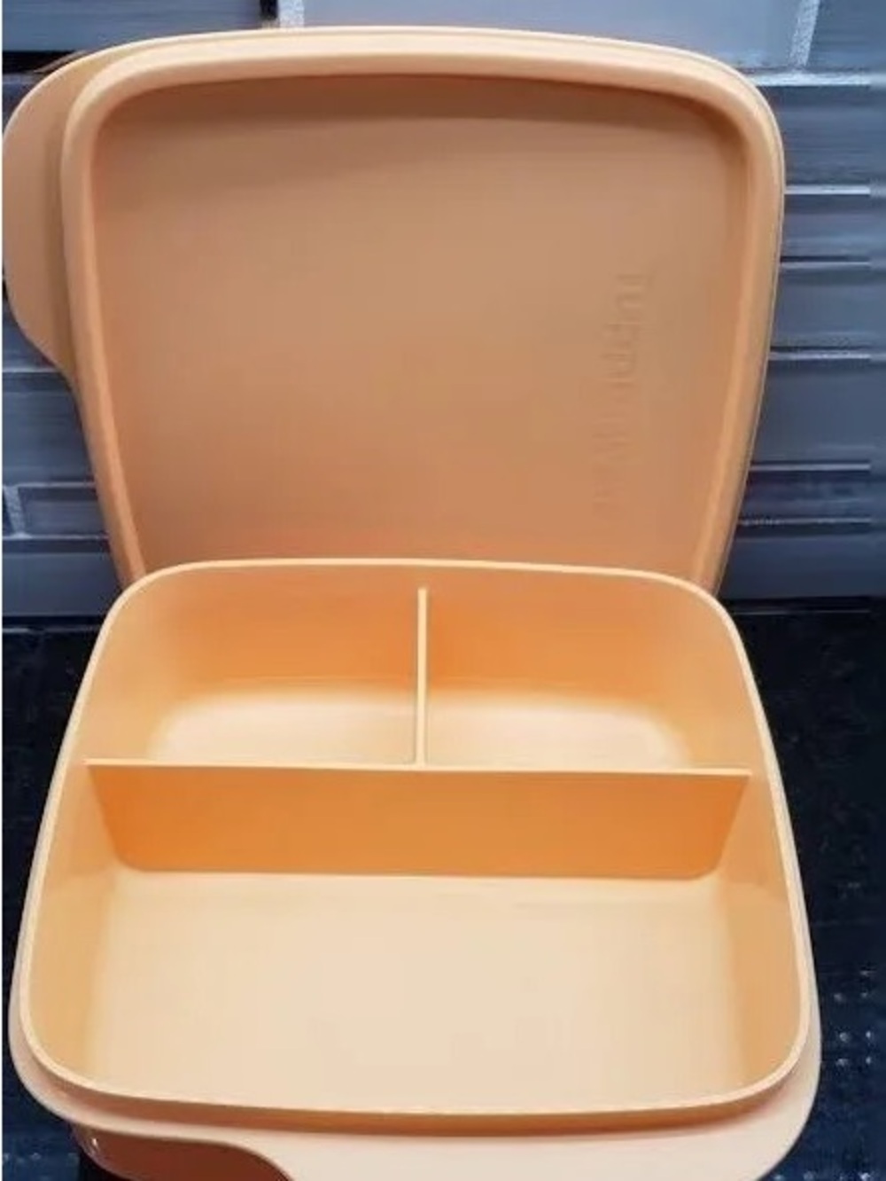 Tupperware Lunch-It® Large Container